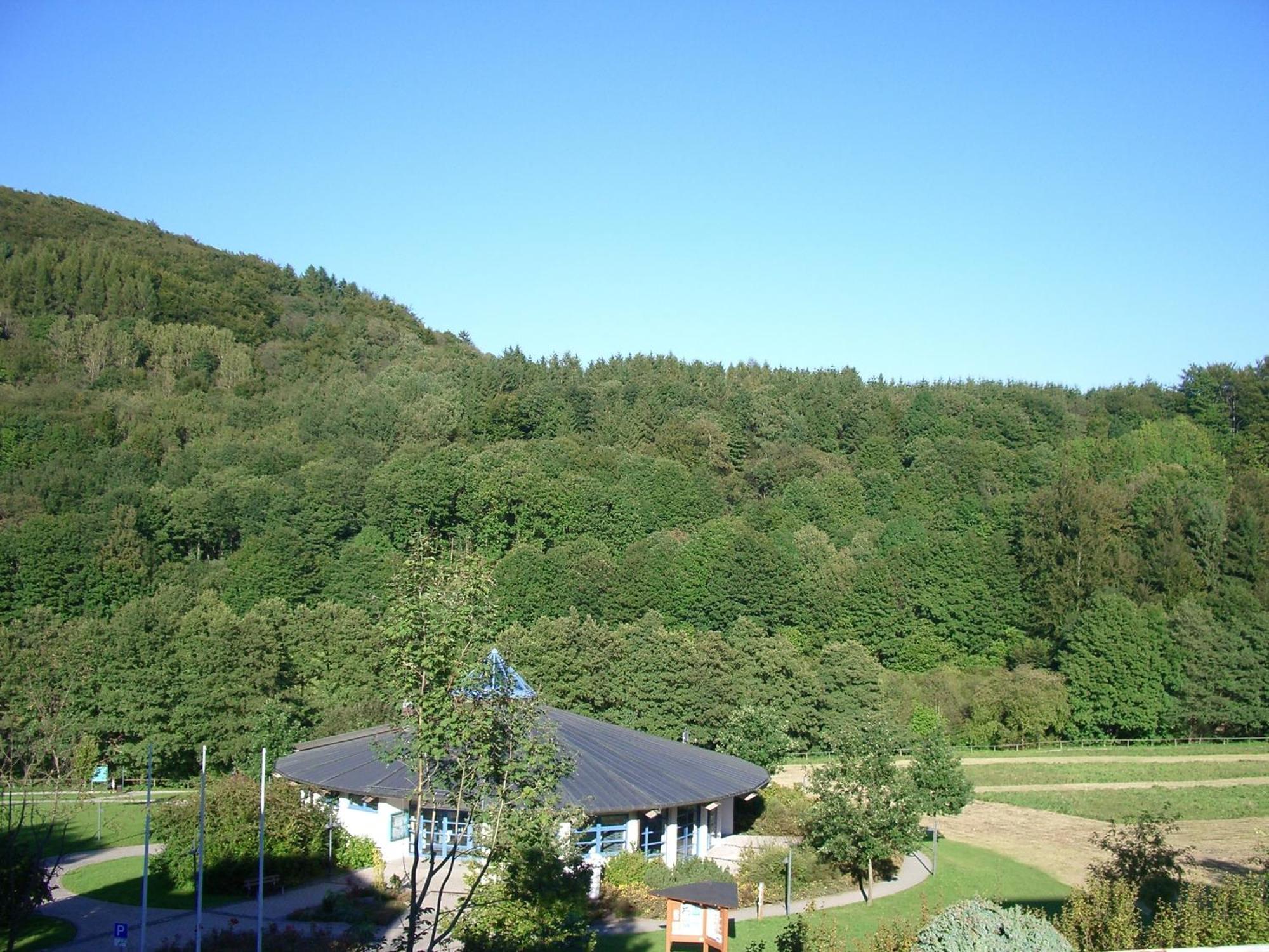 Aritee Apartments Sonnenschein Willingen  Extérieur photo